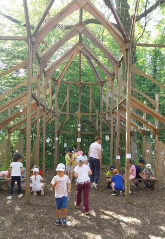Forêt monumental pour les GSA et les CPC