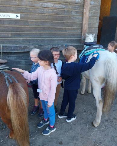 Poney GSA - École Saint-Michel