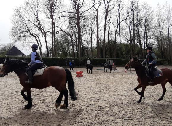 Sélection section "Équitation"  pour RS 24