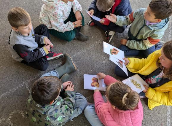L'école du dehors - École Sainte-Marie