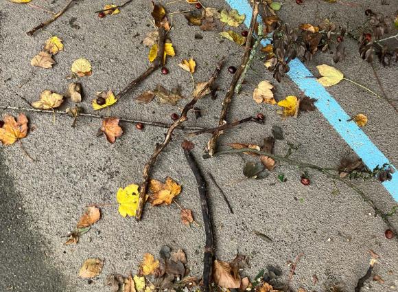 L'école du dehors - École Sainte-Marie