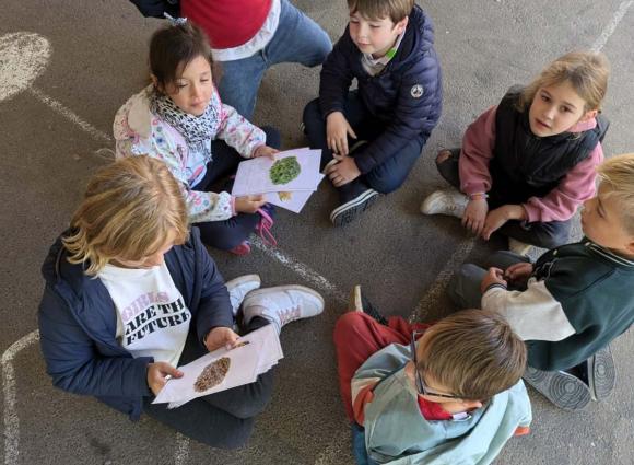 L'école du dehors - École Sainte-Marie