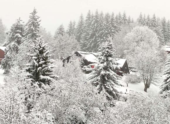 Classe de neige - Ėcole Saint-Marie - janvier 2026